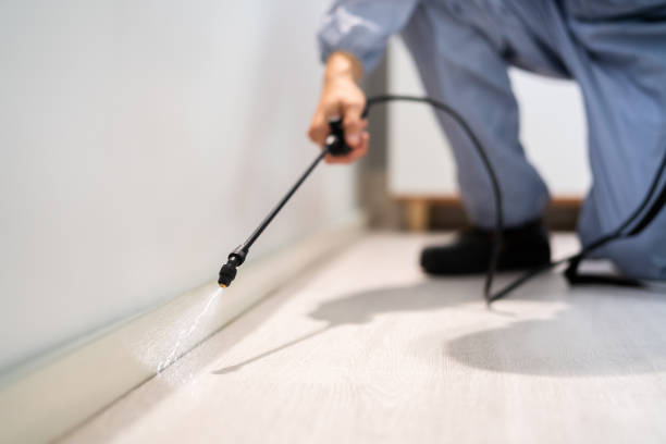 Bed Bug Pre-Treatment Preparation Assessment in Unalaska