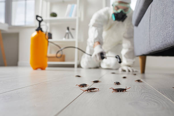 Post-Treatment Bed Bug Interceptor Monitoring in Unalaska